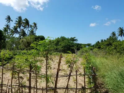 20160520_112224 (Large).jpg